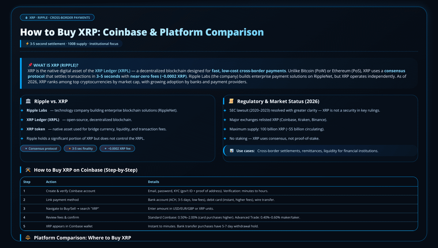 XRP Wallet Support Guide: Comprehensive Overview for 2026