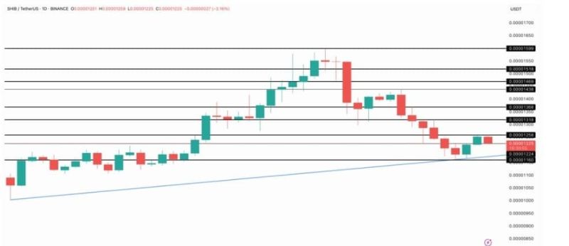 Shiba Inu Fiyatı Kritik Teknik Desteğini Koruyor
