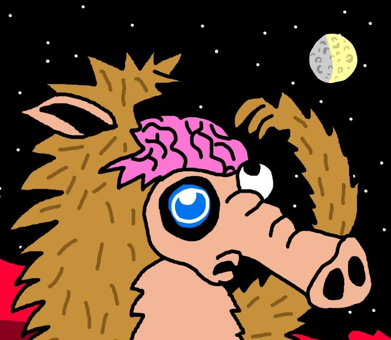 Snorter Token 宣傳圖