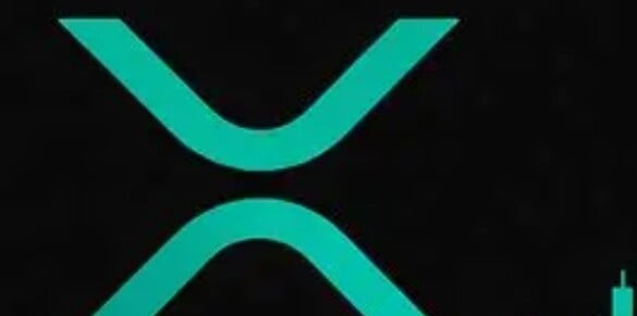 XRP 시장 점유율 분석