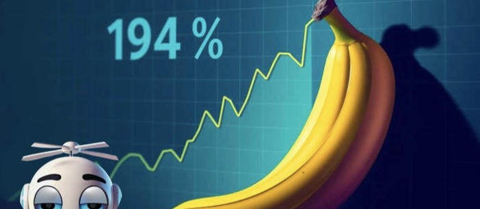 BANANAS31技術分析