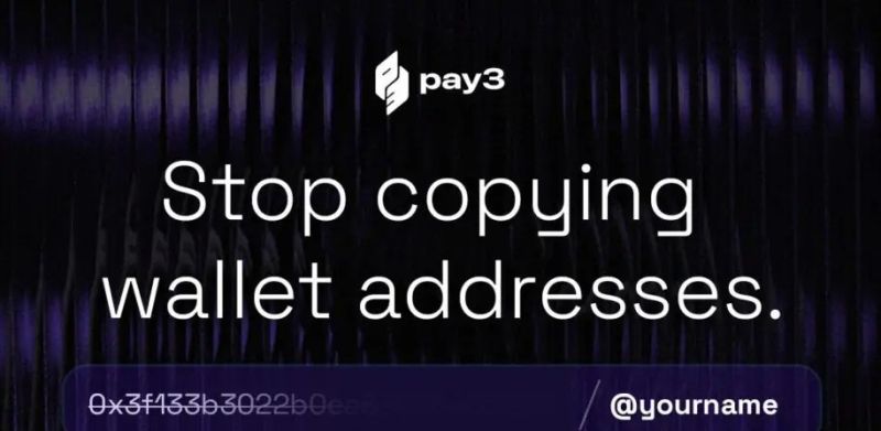 pay3のインターーフェースイメージ
