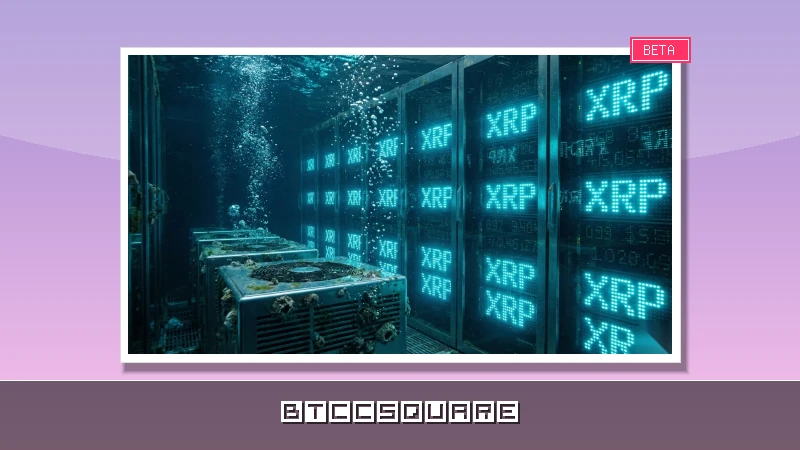 XRP Ledger Activity Surges 71.7% — Here’s What This Means for Price Action