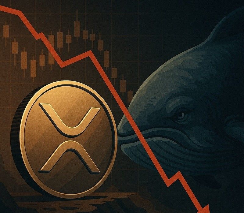 리플(XRP) 1달러 붕괴 직전, 고래들은 ’줍줍’ 매집 행렬…"패닉셀보다 축적 우세"