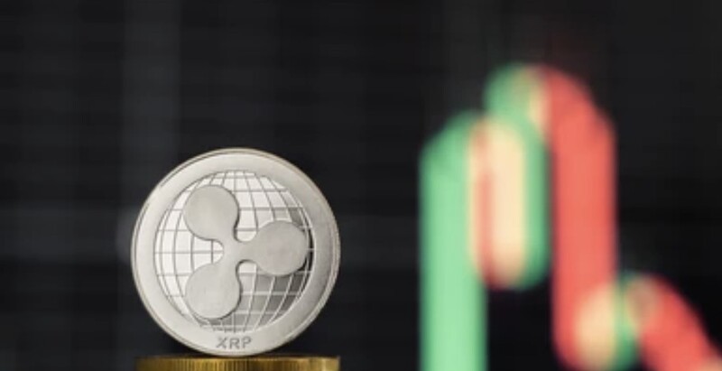 XRP ETF 기대감 속 ’폭발적 기관 자금 유입’...2월 이후 최대 규모로 시장 강세 신호