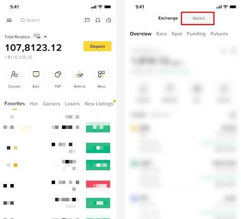 Binance Web3 Wallet Interface