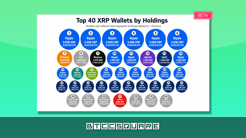 トップ40ウォレットに558億XRPが集中 – エスクロー解放で市場の流動性が激変へ