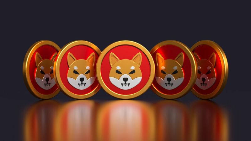 Shiba Inu Boğa Bayrağı Analizi