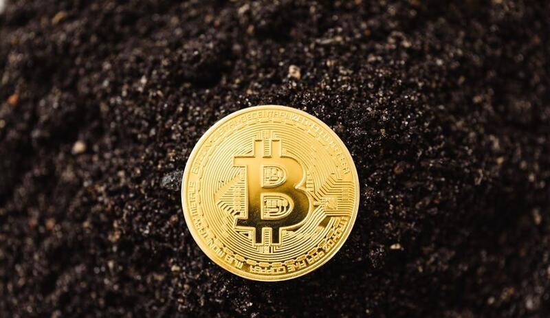 비트코인(BTC) 소액 거래 비중 80% 급등...가격은 정체 vs 네트워크 폭발적 성장