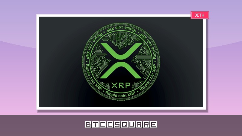 XRP, 1.65달러 분기점 진입… 돌파 실패 시 10% 추가 하락 경고