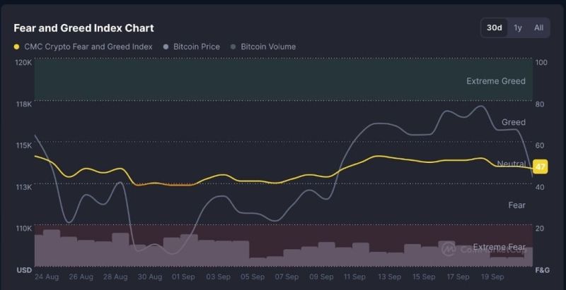 Snorter Bot Token Fırtınası: 4 Milyon Dolar ICO ile Krizde Yükseliş
