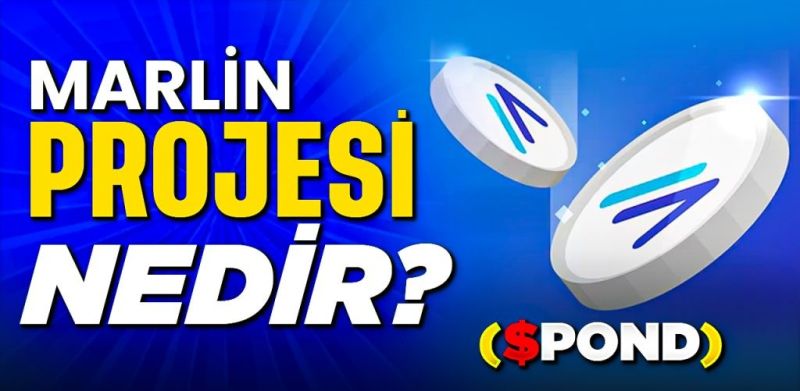 Pond Coin Nedir?