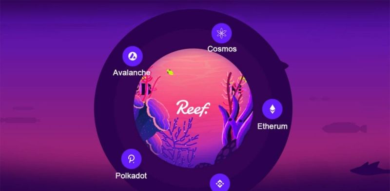 REEF Coin Teknik Analiz