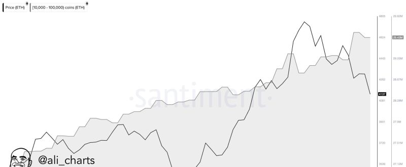 ETH Balina Alımları