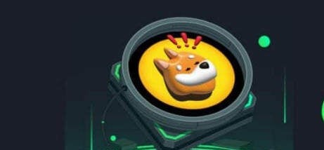 BONK 시장 동향 그래프