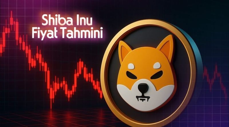 SHIB fiyat grafiği 2021-2025
