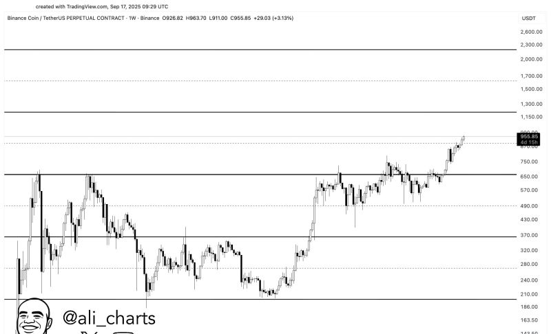 توقعات صعود سعر BNB إلى 1300 دولار
