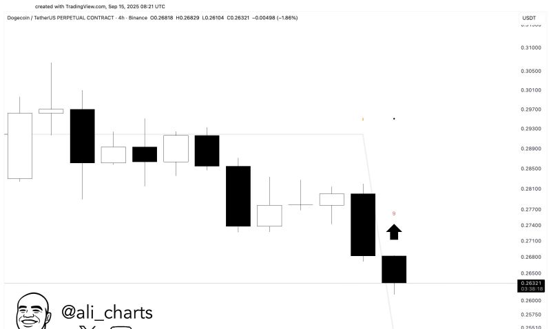 رسم بياني يوضح ارتفاع سعر دوجكوين