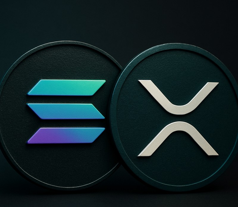 솔라나 개발자, XRP와 협력 시그널..."브릿지는 시작일 뿐"