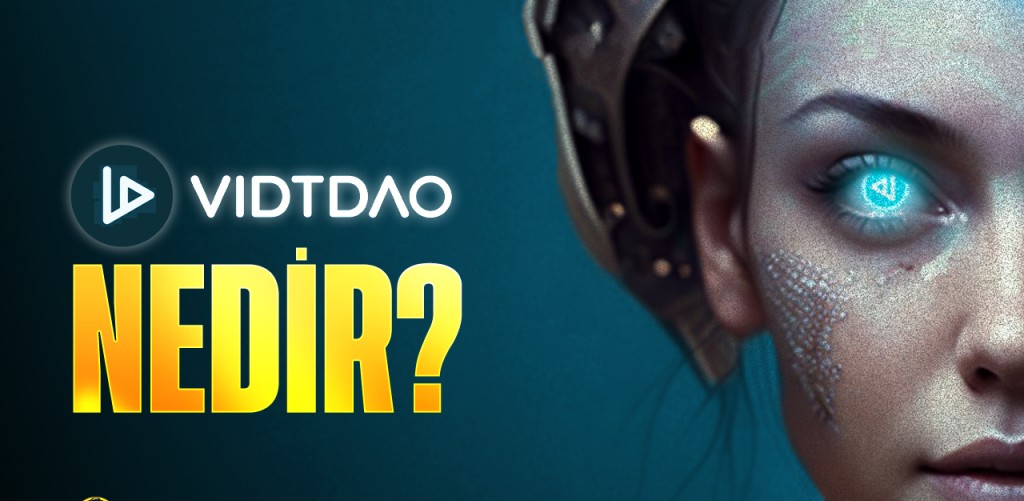 VIDT DAO Arayüzü