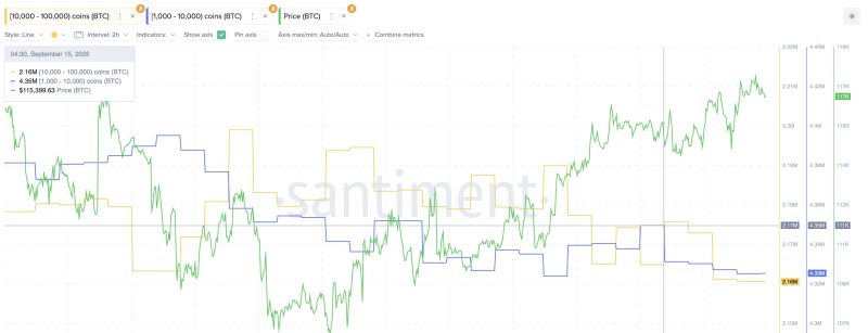 Large Bitcoin Holders Selling