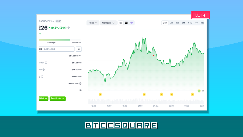 Cash Cat and Midnight Lead the Charge: Top Crypto Gainers and Losers Today
