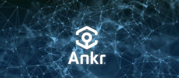 ANKRネットワーク図