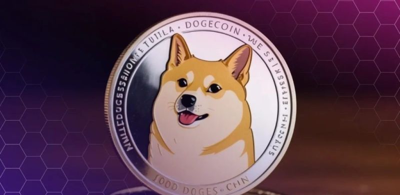 Dogecoin fiyat grafiği 2025