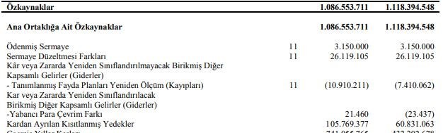 EGEEN Özsermaye Tablosu