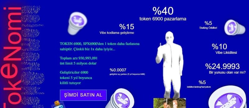 TOKEN6900 Ön Satış Grafiği