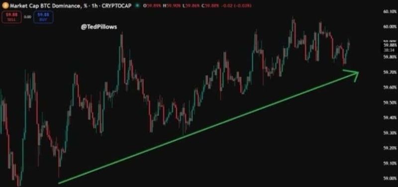 Bitcoin Piyasa Hakimiyeti