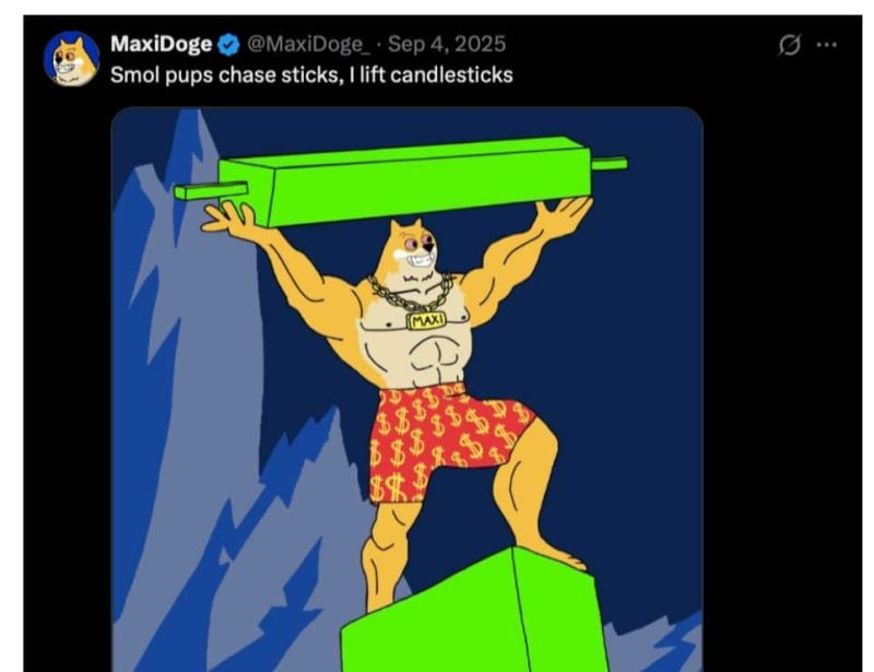 MAXI社群活動