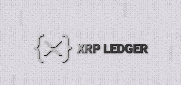XRP 레저, 기관 프라이버시 공백 겨냥…’영지식증명 검증’ 도입으로 디지털 자산 보안 혁명 예고