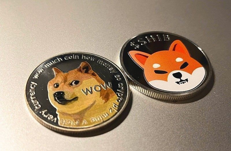시바이누·도지코인, 2만 건 소각·X 결제 호재에도 ’급락’ 충격…암호화폐 시장 긴장 고조