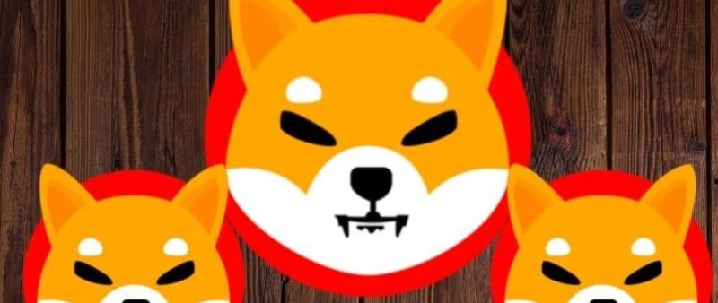 SHIB 가격 차트 2025