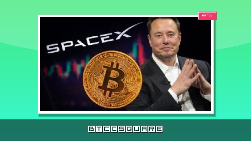 SpaceX-Allzeithoch: Was der Hype für Bitcoin und den Krypto-Markt bedeutet – Analyse BTC-ECHO