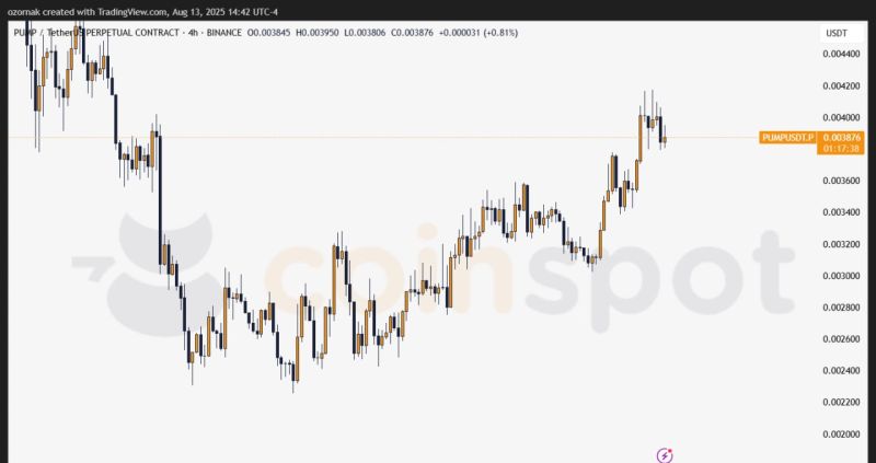 График роста PUMP после выкупа токенов