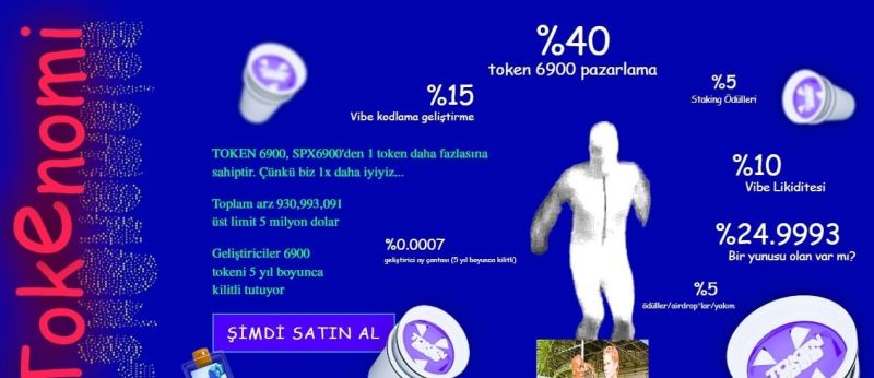 TOKEN6900 Tokenomik Yapısı