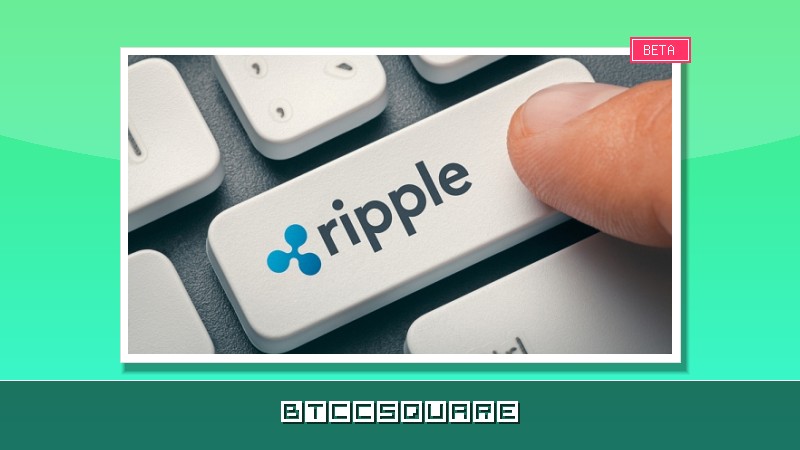 리플 전 CTO "XRP 낙관 발언 자제…시장조작 오해 의식"
