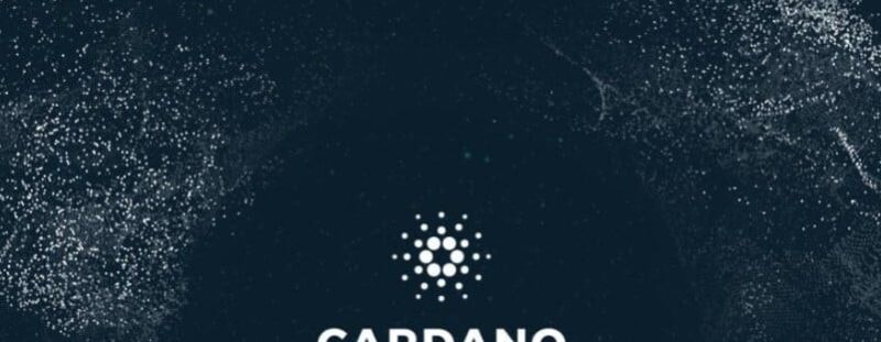 Cardano開発イメージ