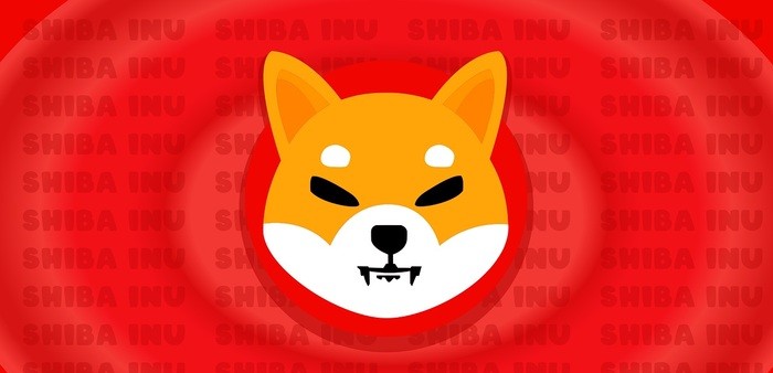 지금 버티면 100% 폭등 예고...시바이누(SHIB), 단 한 번의 움직임에 전체 운명이 결정된다