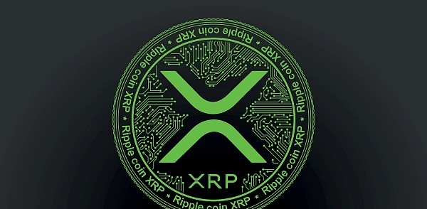 카르다노 창립자 "XRP 디파이 통합 계획 여전히 진행 중"… 블록체인 간 협력 가속화 신호탄