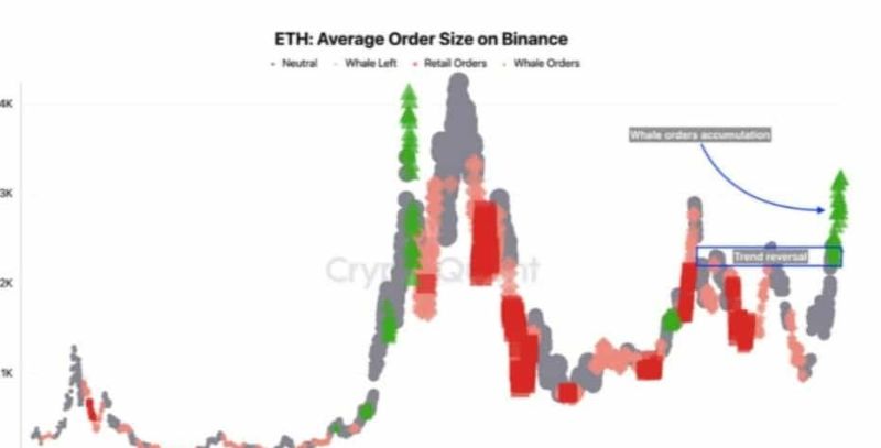 Binance Balinaları Ethereum’da Harekete Geçti