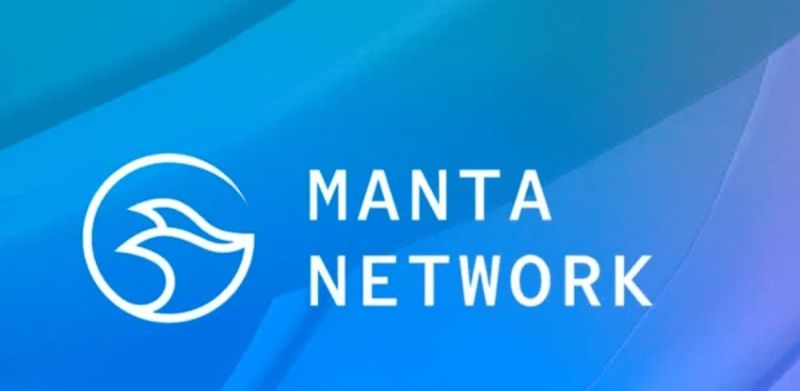 Manta Network Genel Görünüm