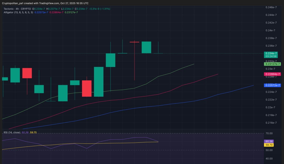 Gr&aacute;fico 4H TONIC/USD
