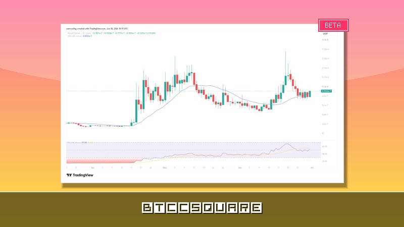 Wojak (WOJAK) bondit de 13% : le listing HTX relance la fièvre des meme coins