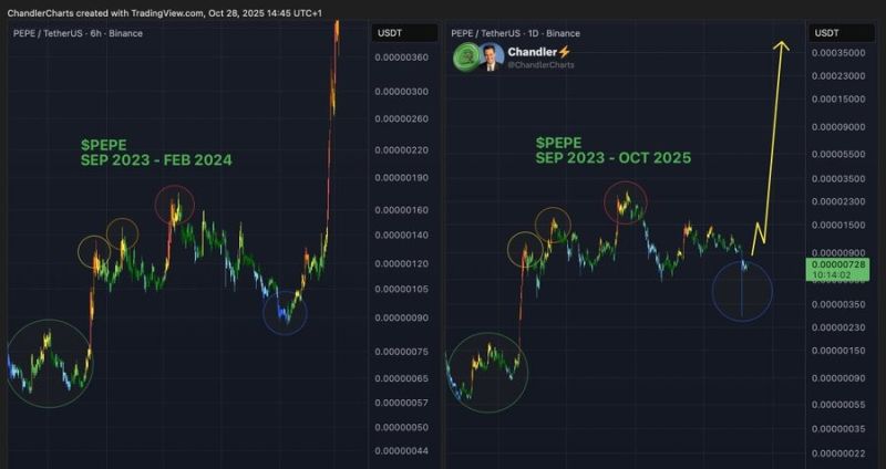 حركة سعر عملة بيبي كوين