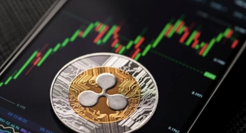 XRP, 고점 대비 63% 폭락 속에서도 지갑 보유량 810만 개 돌파… ’결국 진정한 가치로 회귀한다’