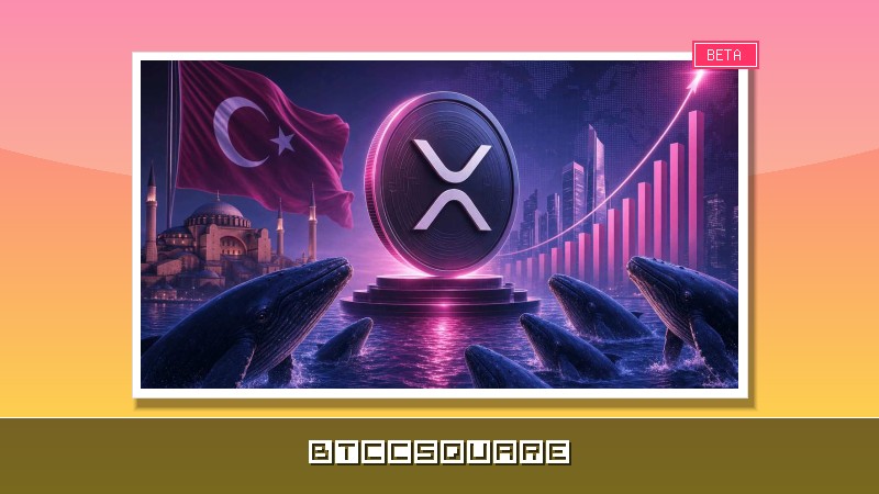 [속보] XRP 대형 고래 올해 최대 매집…터키 스테이블코인 진출에 강세 신호