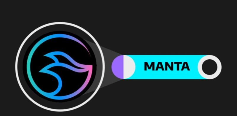 Manta Network Mimarisi